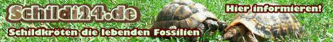 Schildkr�ten die lebenden Fossilien