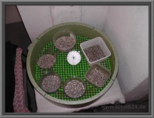 Inkubator zur Schildkrötenzucht