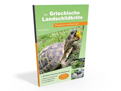 Landschildkröte Buch